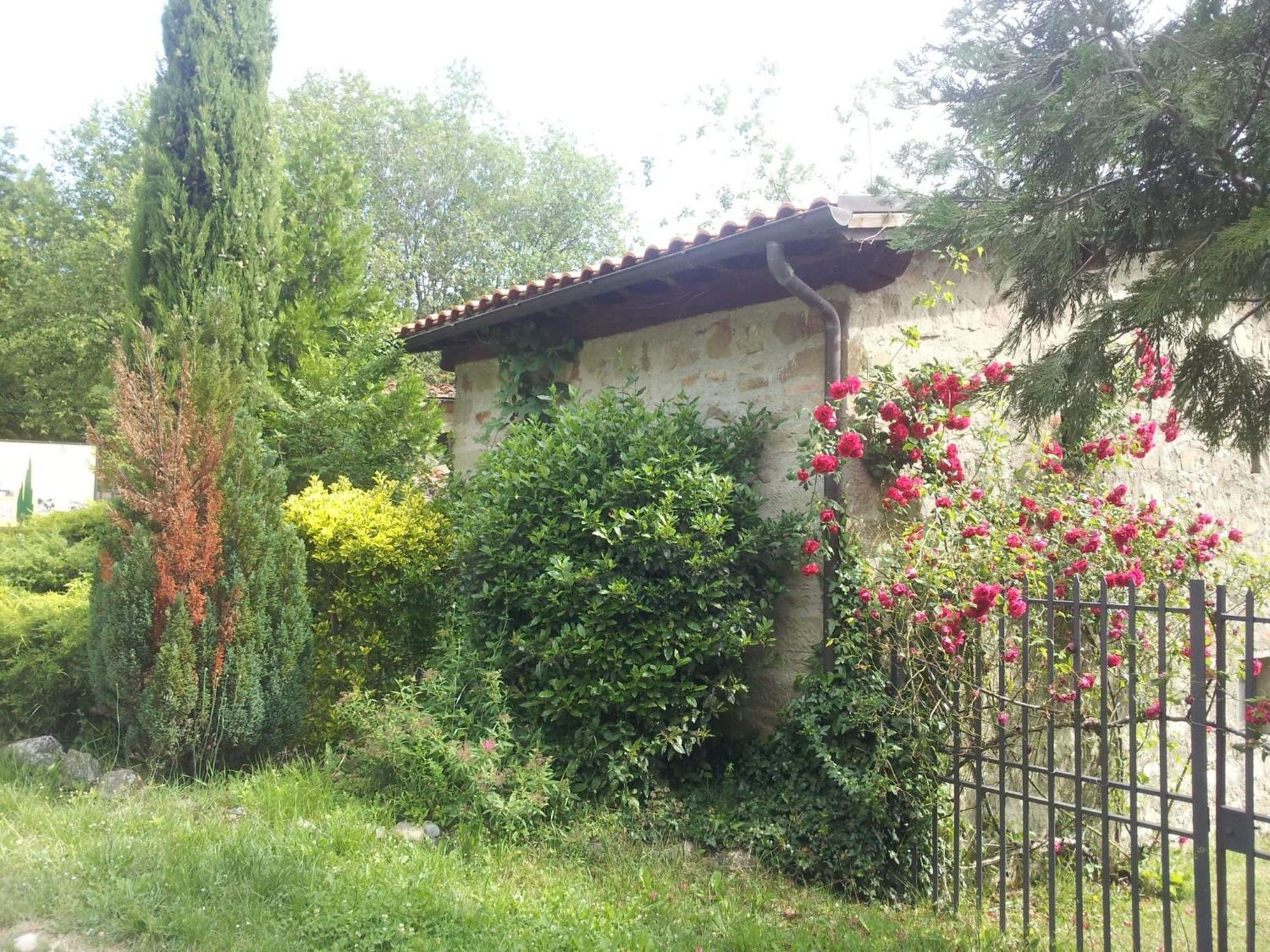 Вилла Fattoria Il Praticino - Metato Castelfranco di Sopra Экстерьер фото